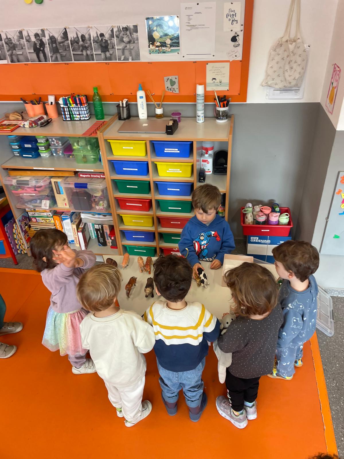 PHOTO-2025-03-20-22-05-18 9 PHOTO-2025-03-20-22-05-18 9