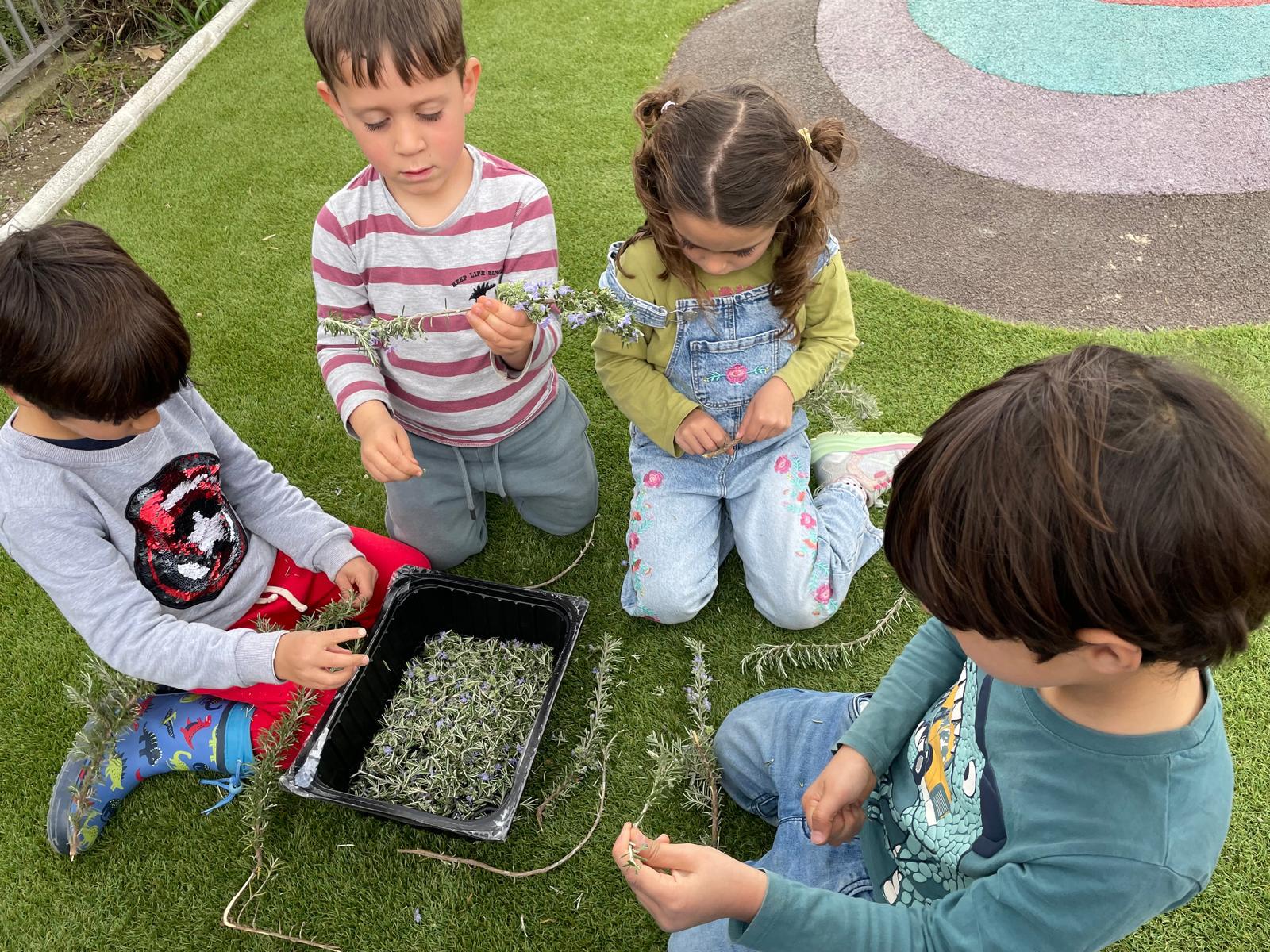 PHOTO-2025-03-21-22-27-25 5