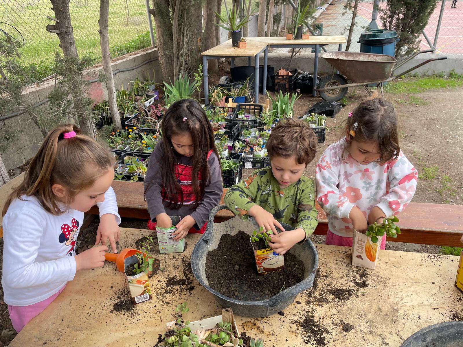 PHOTO-2025-03-21-22-27-25 6 PHOTO-2025-03-21-22-27-25 6