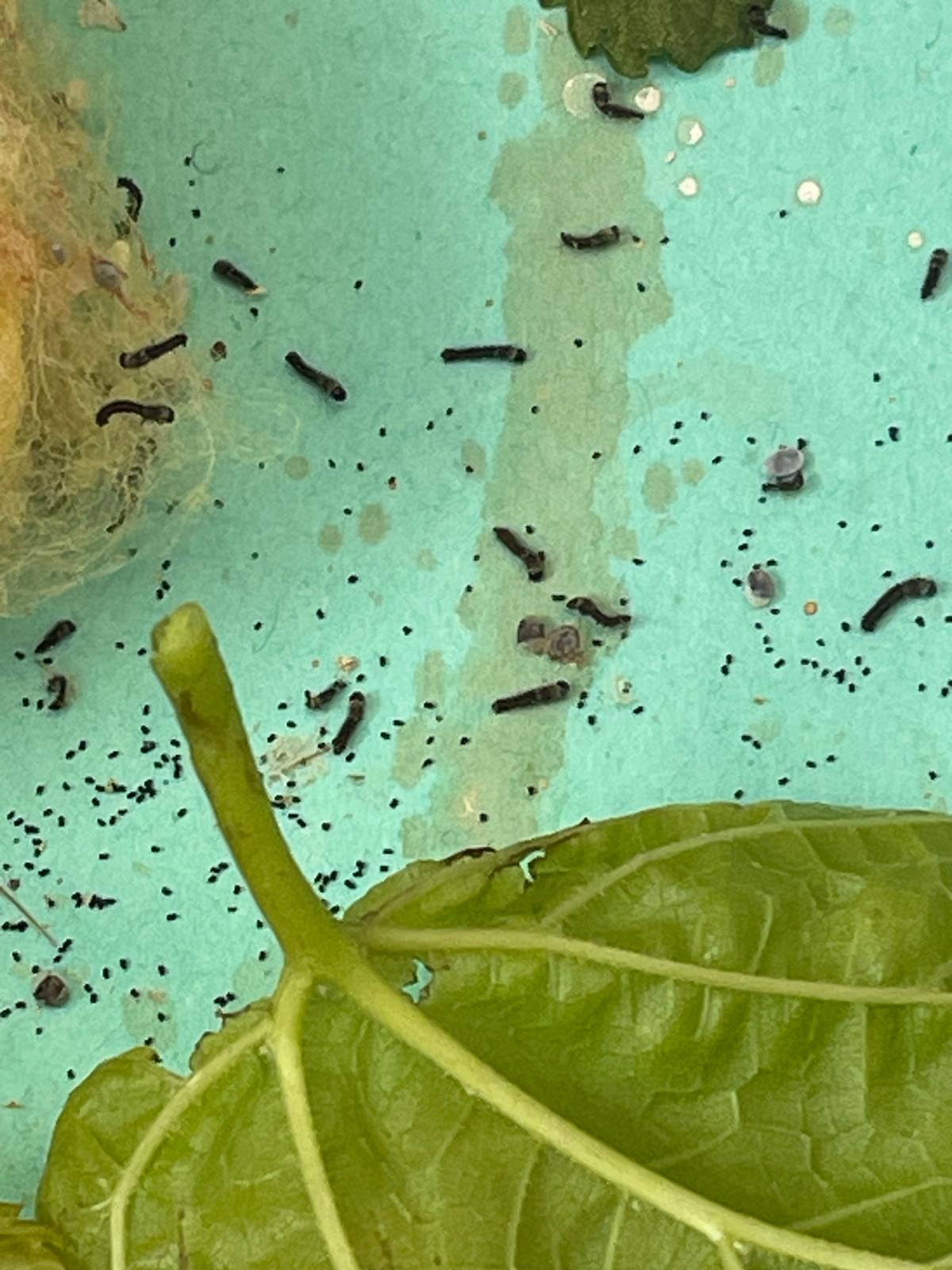 PHOTO-2025-03-24-22-13-50 16