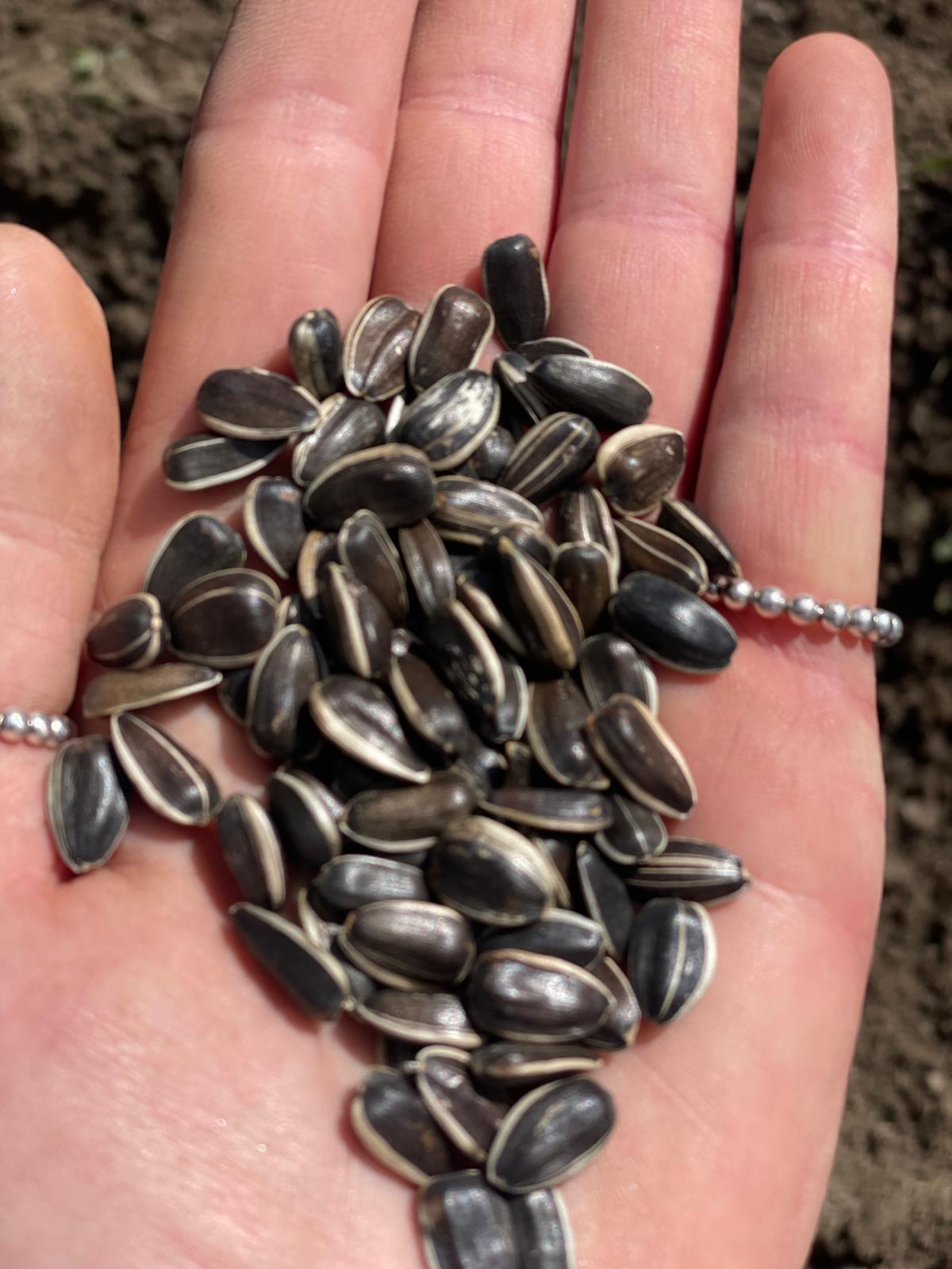 PHOTO-2025-03-25-18-55-41 10