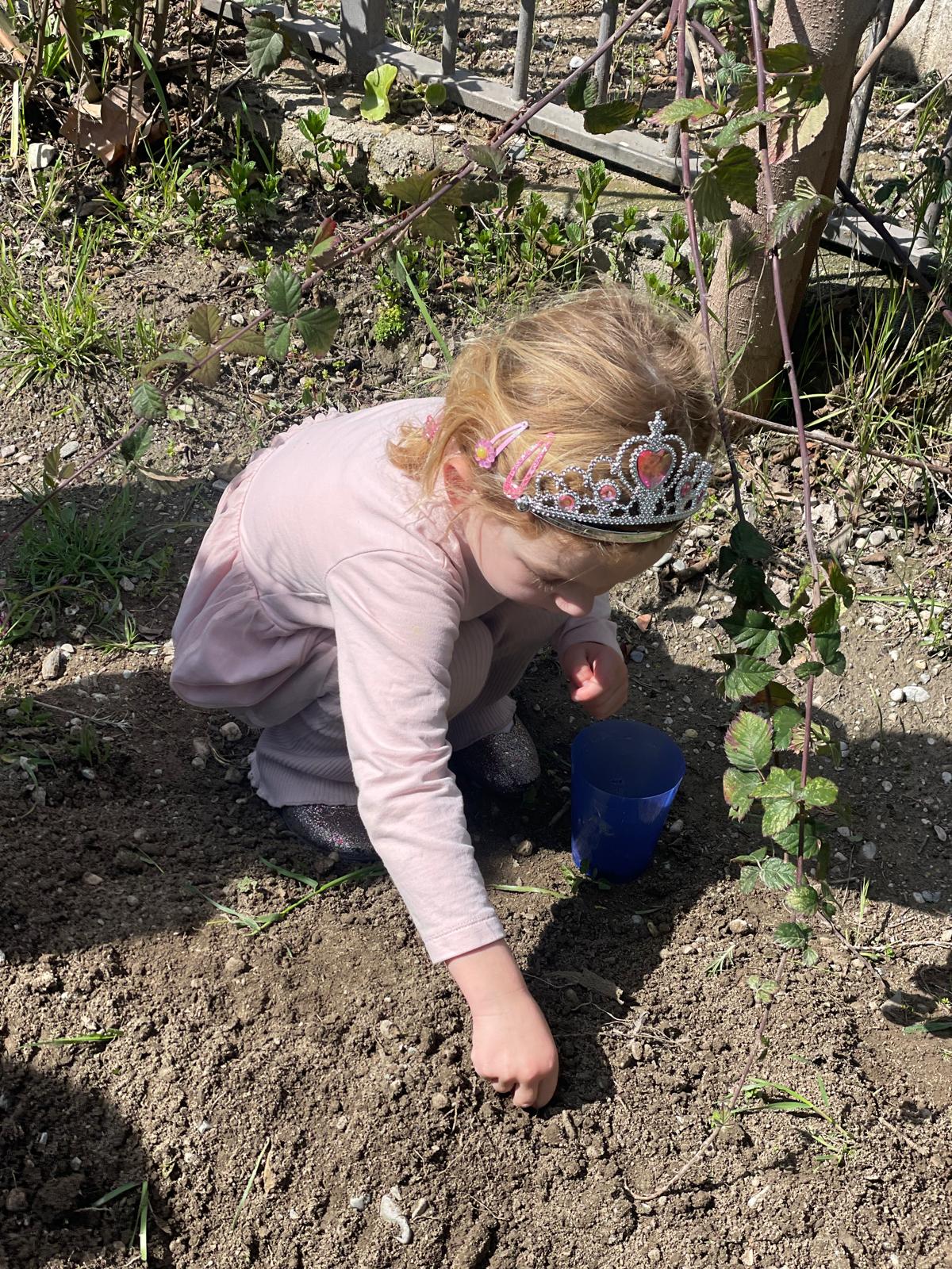 PHOTO-2025-03-25-18-55-41 11 PHOTO-2025-03-25-18-55-41 11