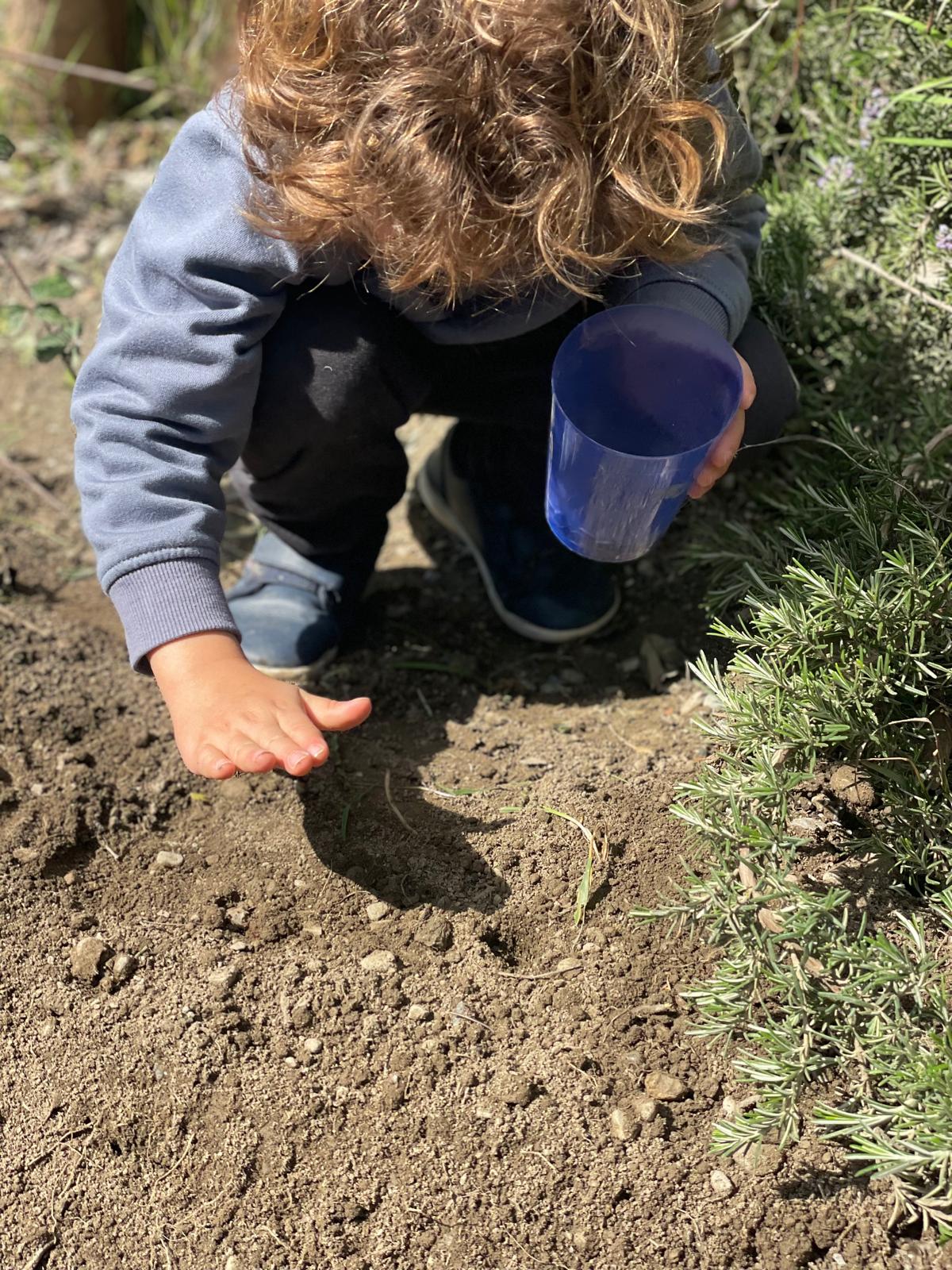 PHOTO-2025-03-25-18-55-41 13