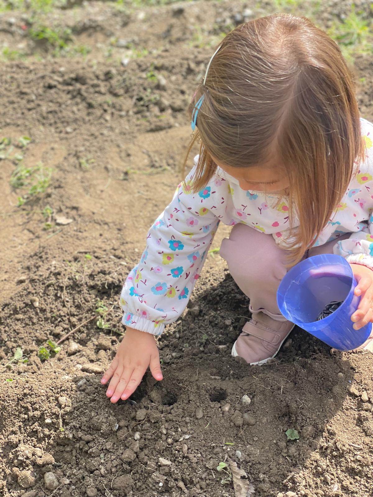 PHOTO-2025-03-25-18-55-41 17