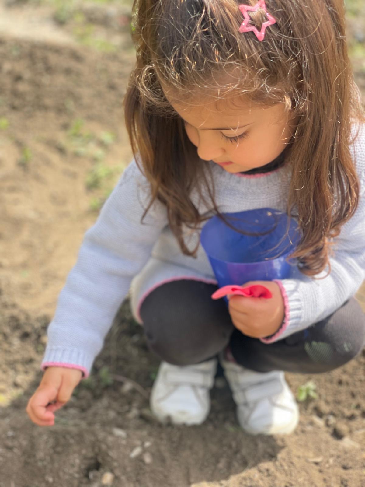 PHOTO-2025-03-25-18-55-41 18