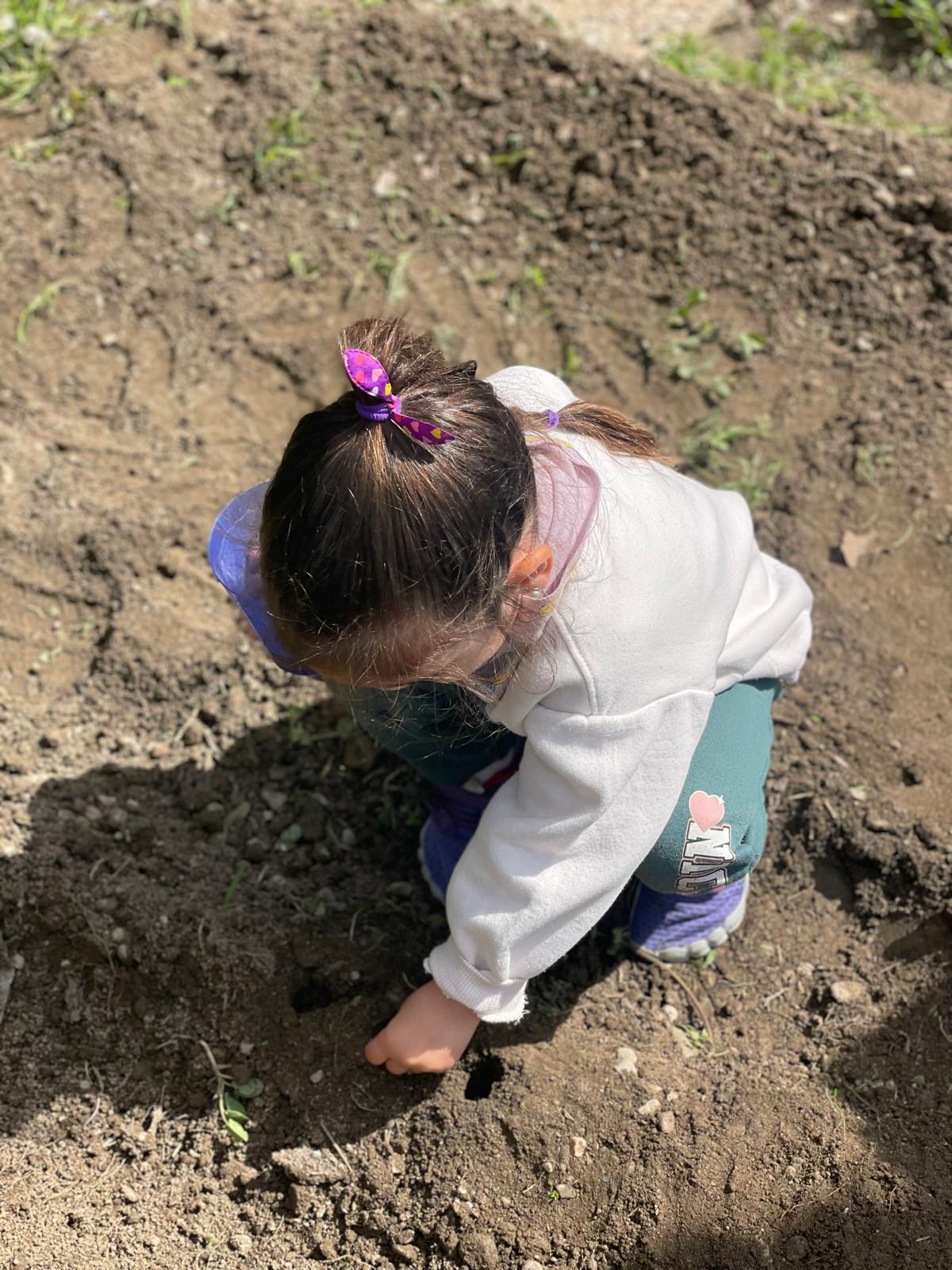 PHOTO-2025-03-25-18-55-41 19