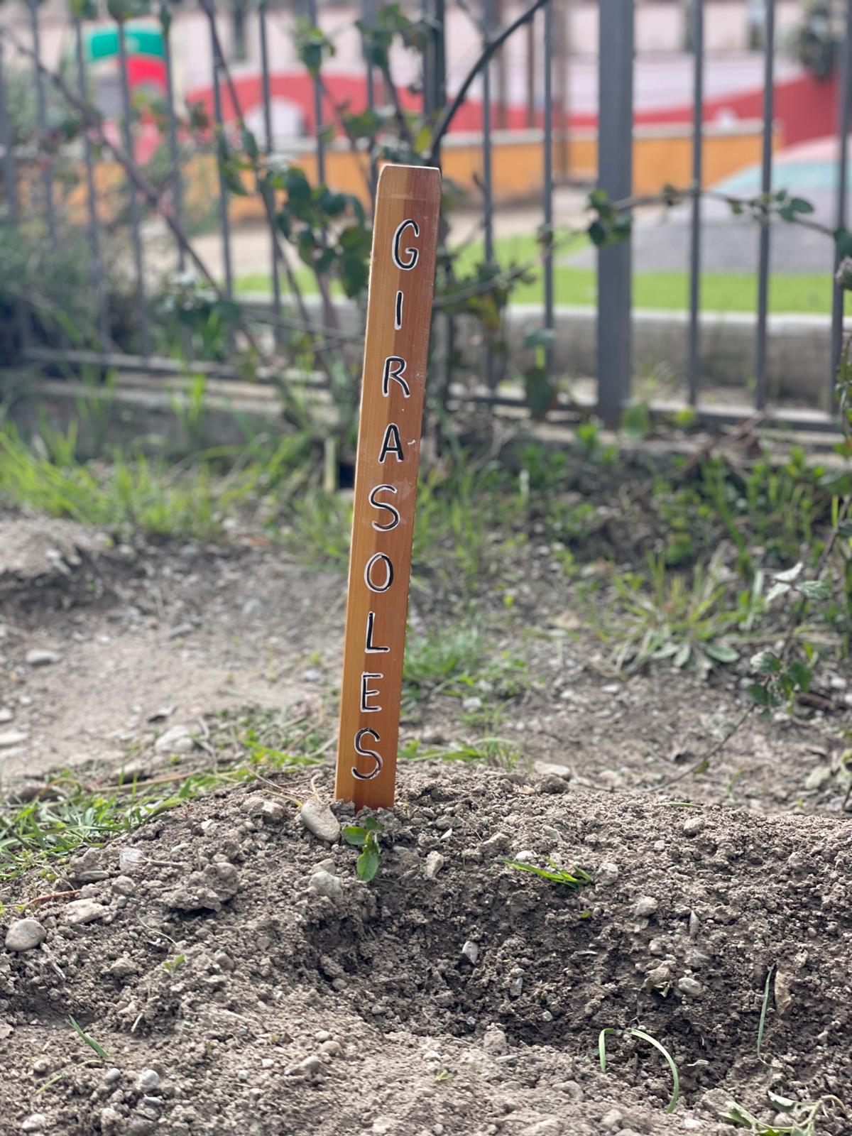 PHOTO-2025-03-25-18-55-41 22