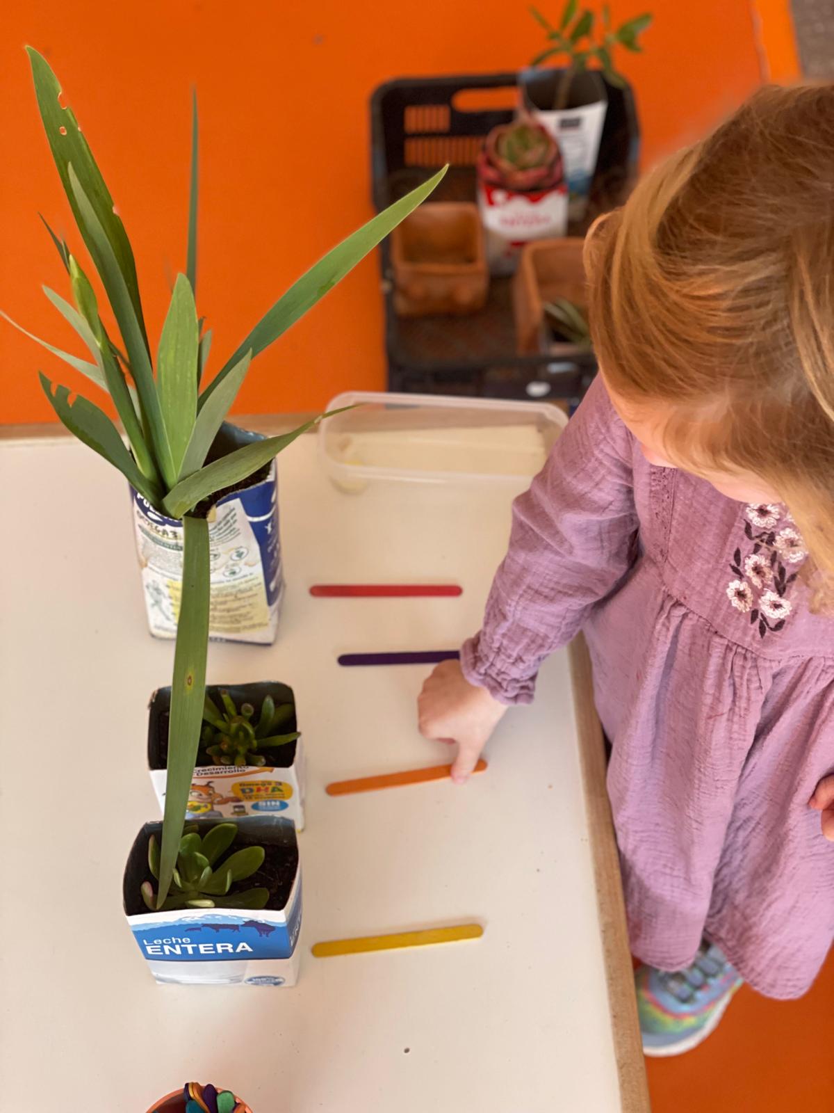 PHOTO-2025-03-27-11-36-10 3 PHOTO-2025-03-27-11-36-10 3