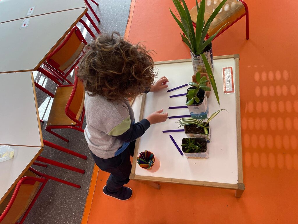 PHOTO-2025-04-03-07-23-06 6