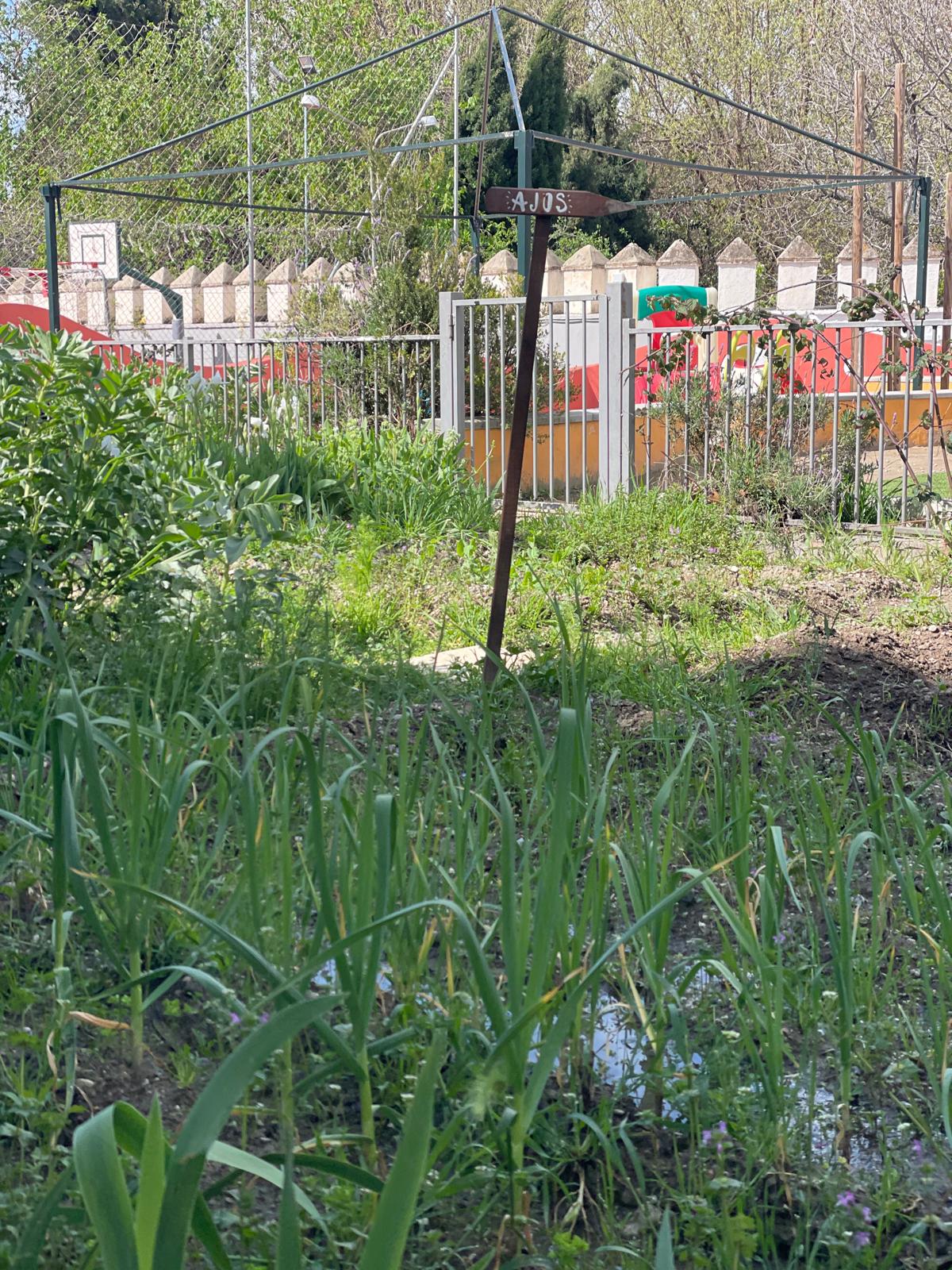 PHOTO-2025-04-04-19-24-44 10