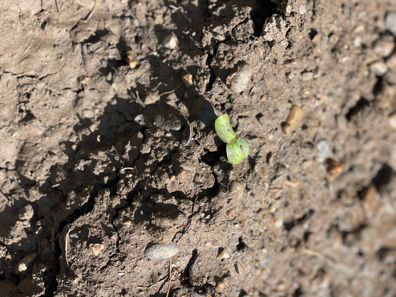 PHOTO-2025-04-04-19-24-44 11 PHOTO-2025-04-04-19-24-44 11