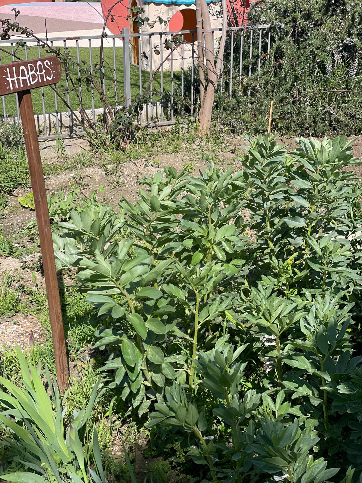 PHOTO-2025-04-04-19-24-44 12