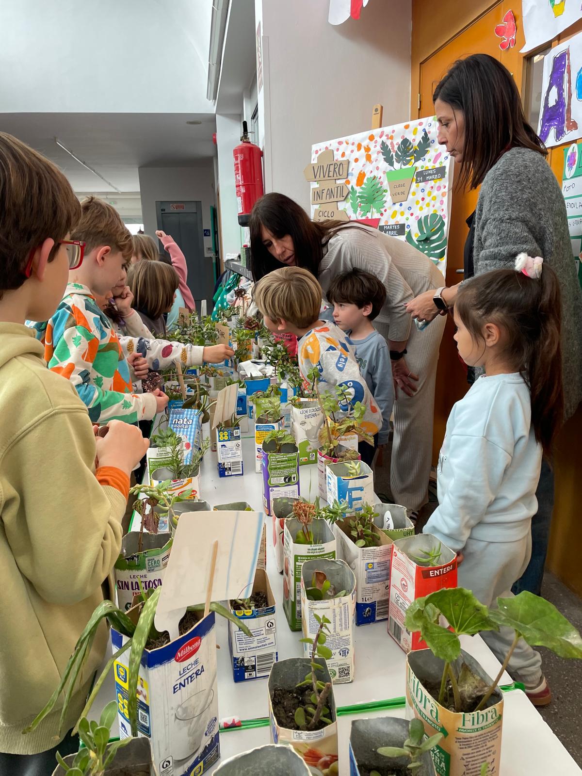 PHOTO-2025-04-04-19-26-46 3