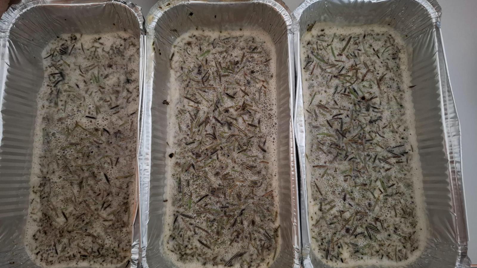 PHOTO-2025-04-04-19-26-57 PHOTO-2025-04-04-19-26-57