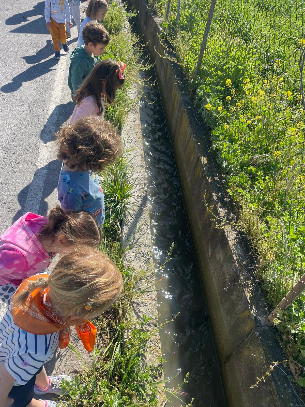 PHOTO-2025-04-08-19-23-51 17 PHOTO-2025-04-08-19-23-51 17