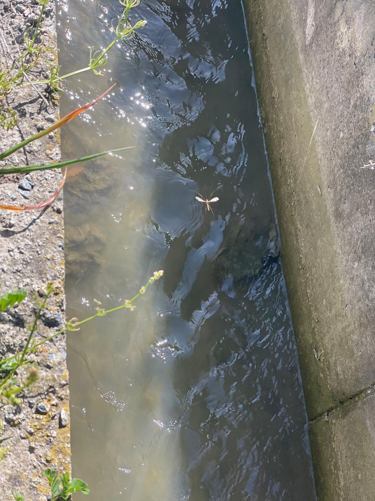 PHOTO-2025-04-08-19-23-51 18 PHOTO-2025-04-08-19-23-51 18