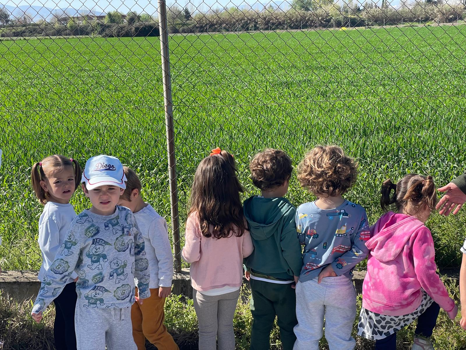 PHOTO-2025-04-08-19-23-51 19 PHOTO-2025-04-08-19-23-51 19