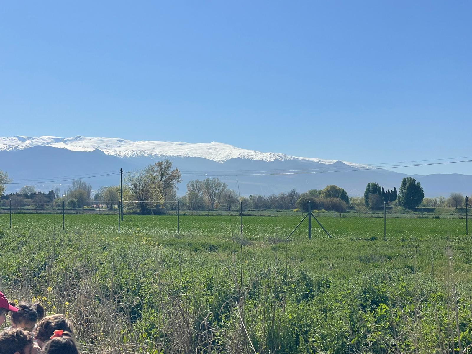 PHOTO-2025-04-08-19-23-51 21