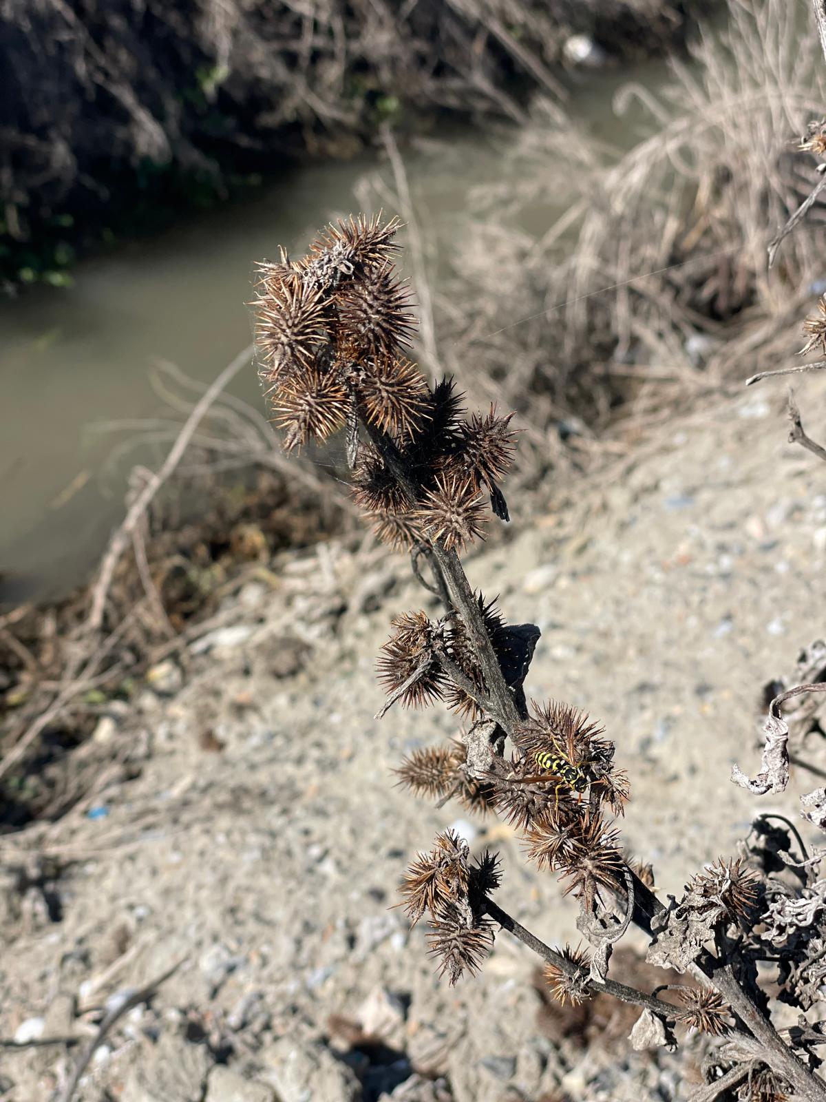 PHOTO-2025-04-08-19-23-51 23