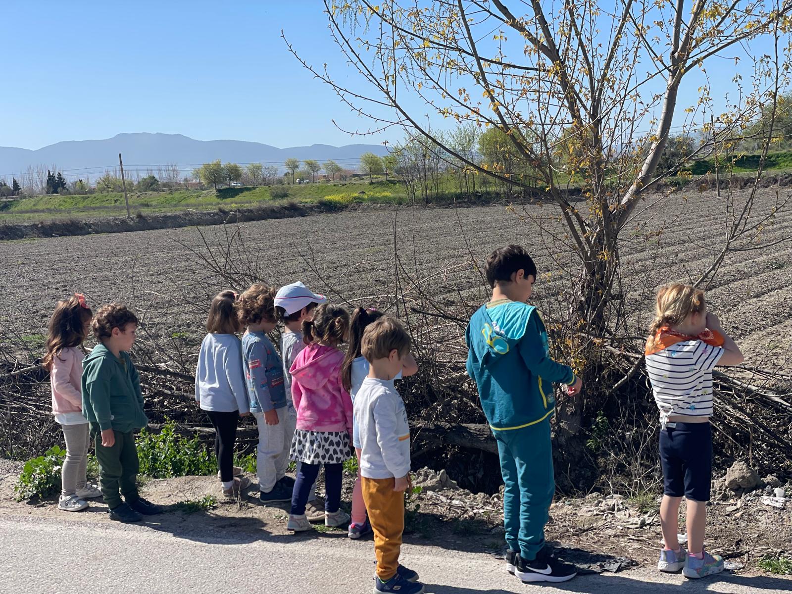 PHOTO-2025-04-08-19-23-51 24 PHOTO-2025-04-08-19-23-51 24