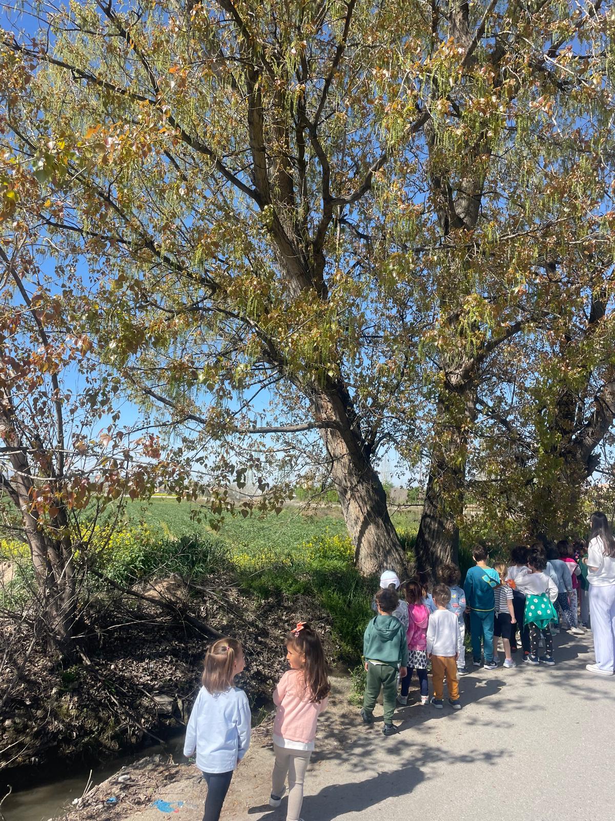 PHOTO-2025-04-08-19-23-51 26