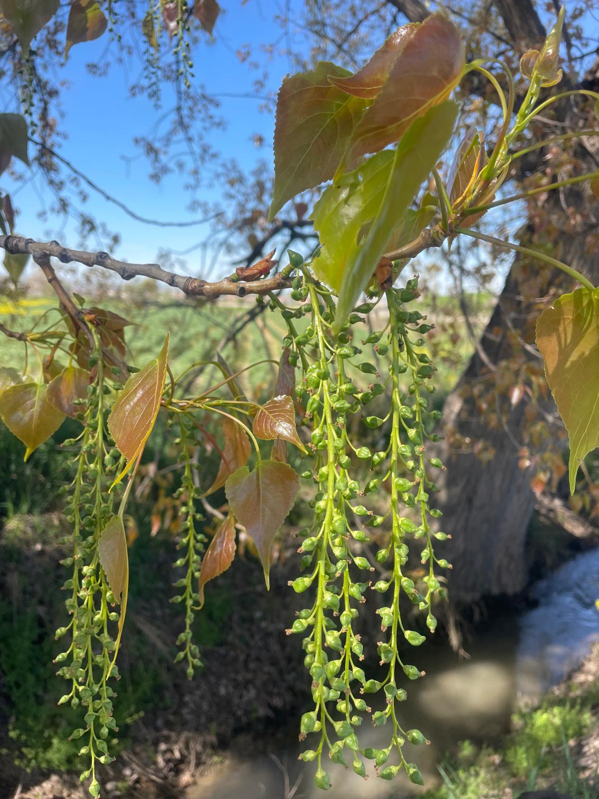 PHOTO-2025-04-08-19-23-51 27 PHOTO-2025-04-08-19-23-51 27