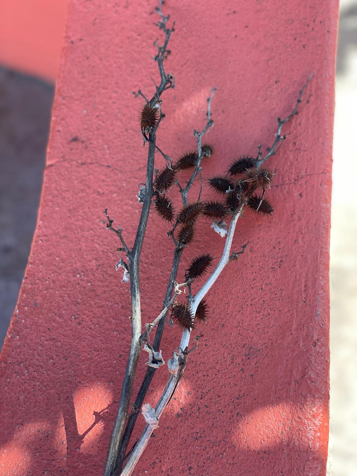 PHOTO-2025-04-08-19-23-51 29