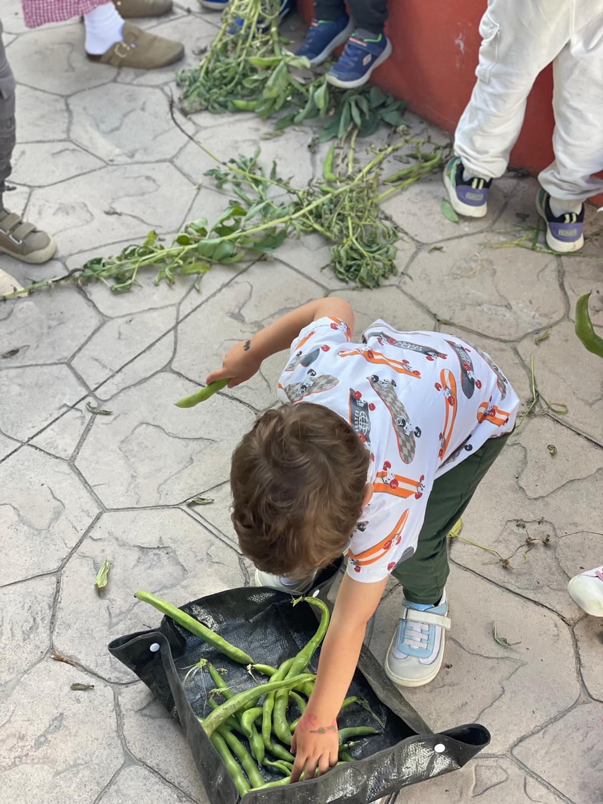 PHOTO-2025-04-30-15-15-56 82 PHOTO-2025-04-30-15-15-56 82