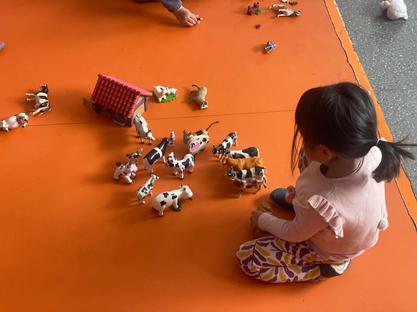 PHOTO-2025-05-13-18-23-53 16