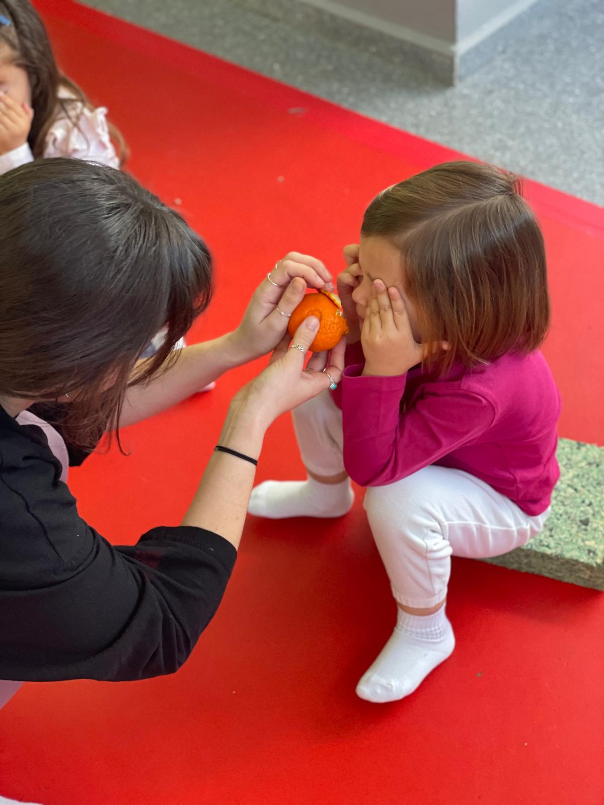 PHOTO-2025-05-15-19-40-06 18