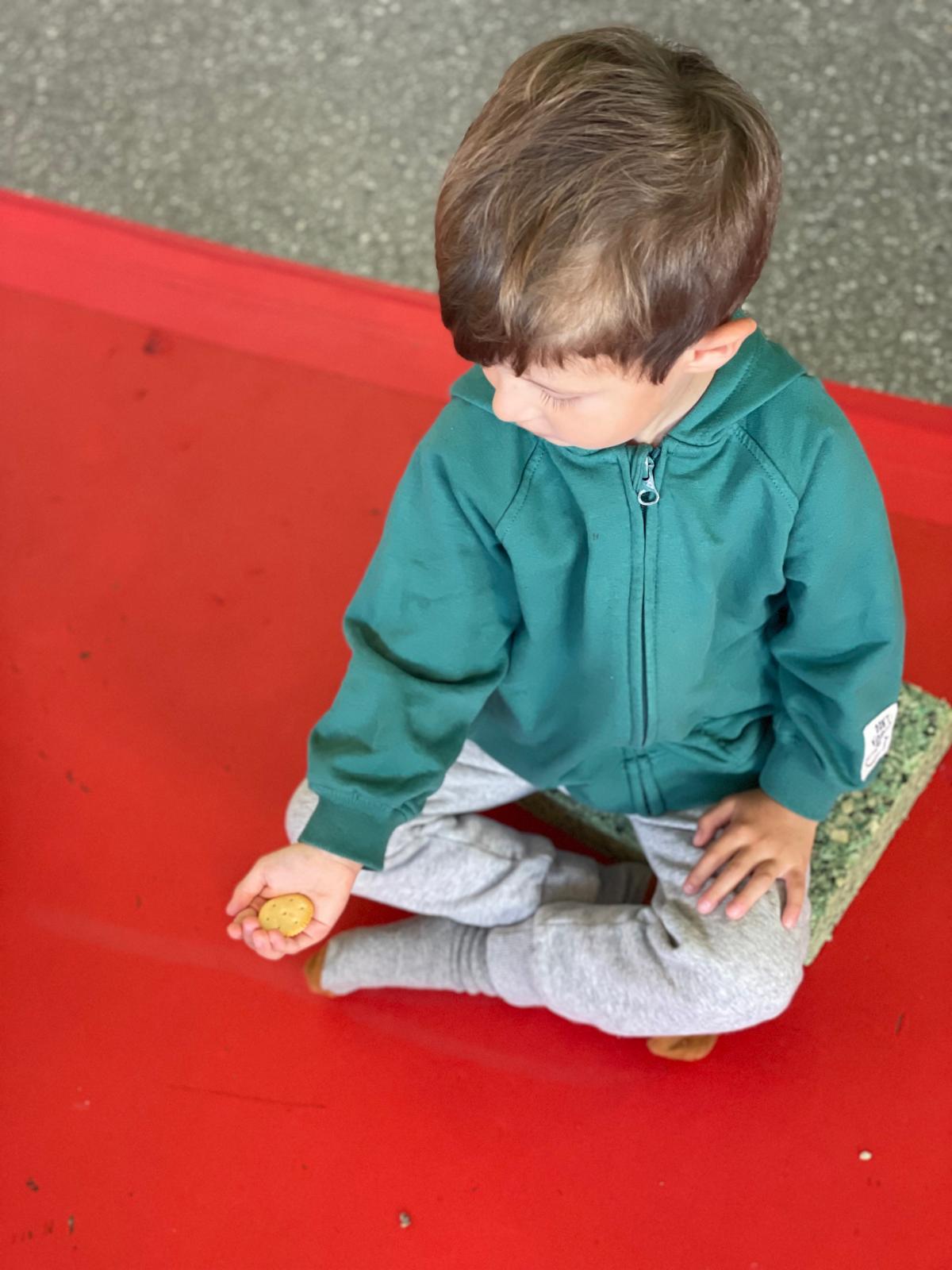 PHOTO-2025-05-15-19-40-06 20