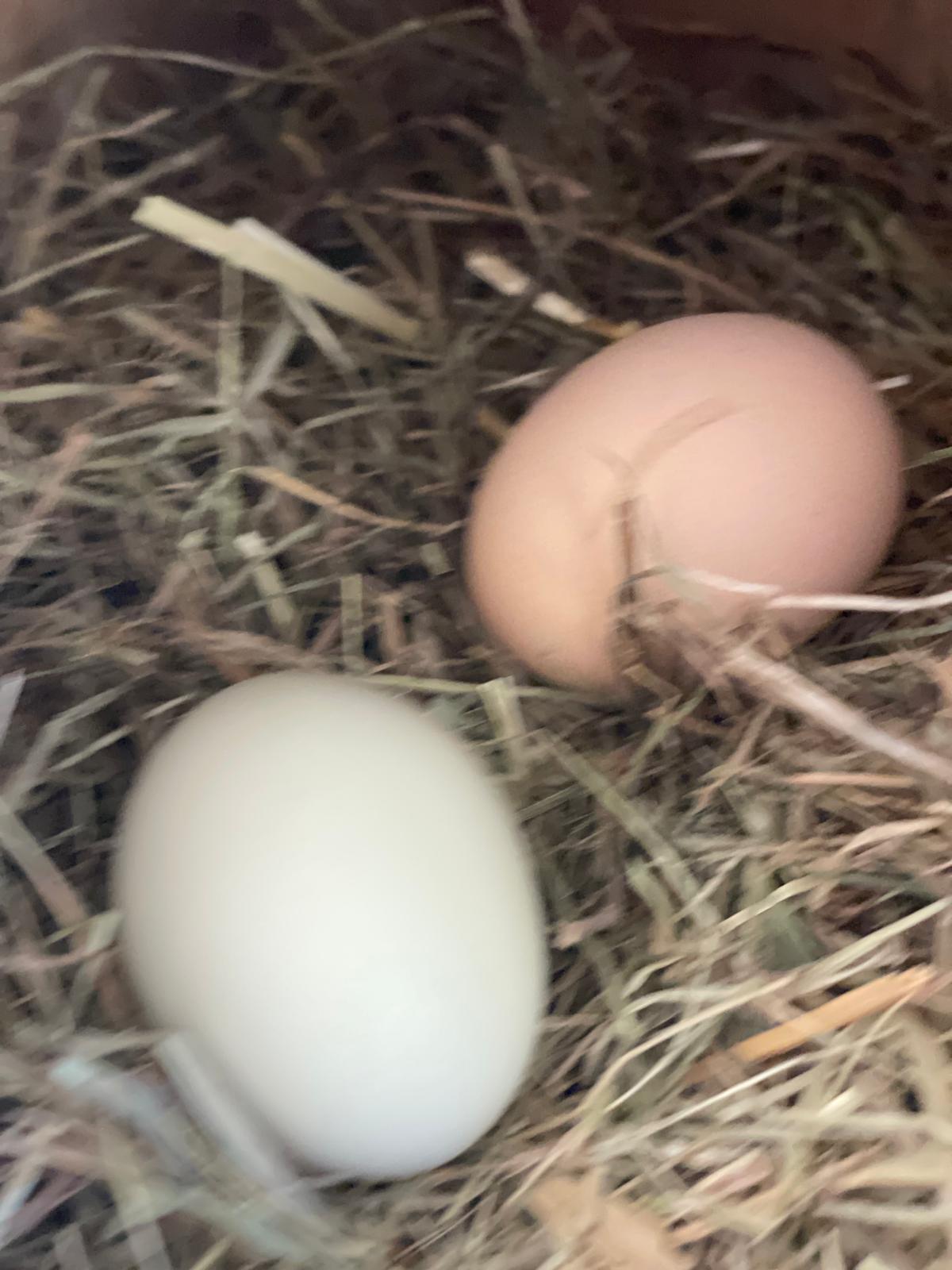 PHOTO-2025-05-19-21-21-57 2