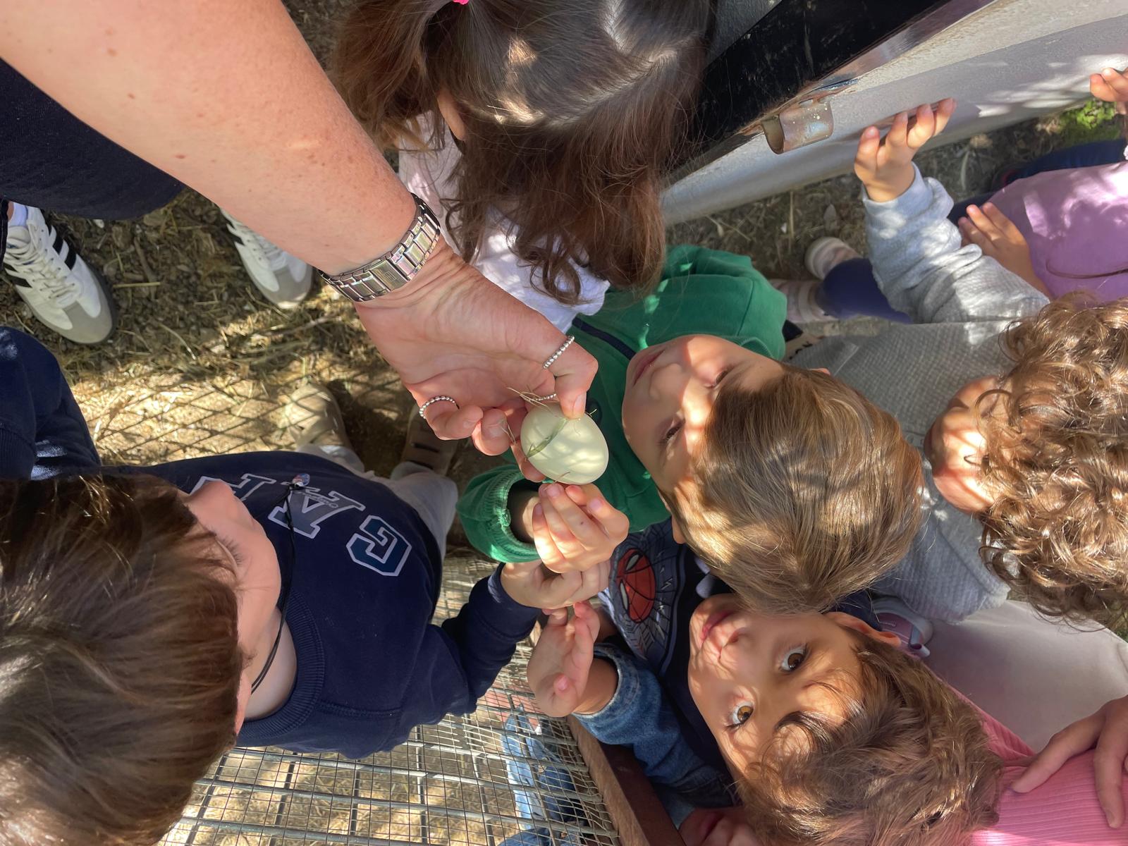 PHOTO-2025-05-19-21-21-57 3