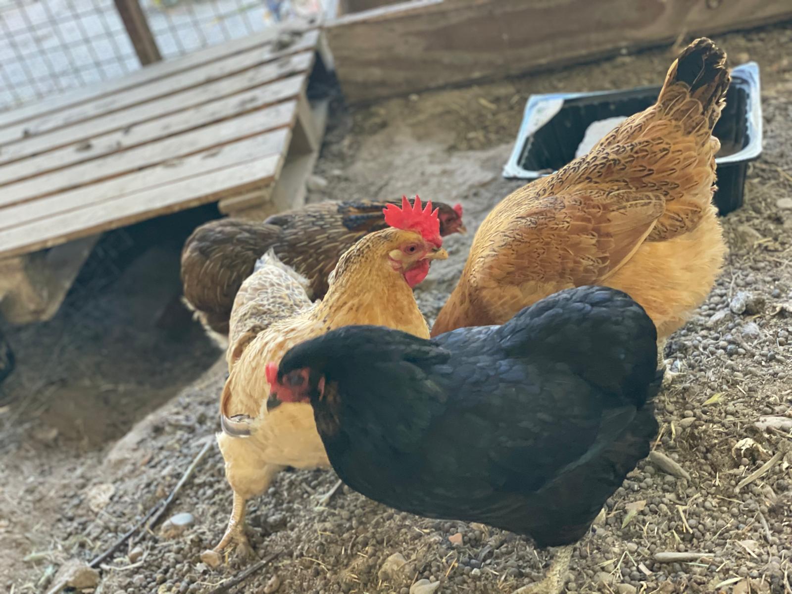 PHOTO-2025-05-19-21-33-59 2