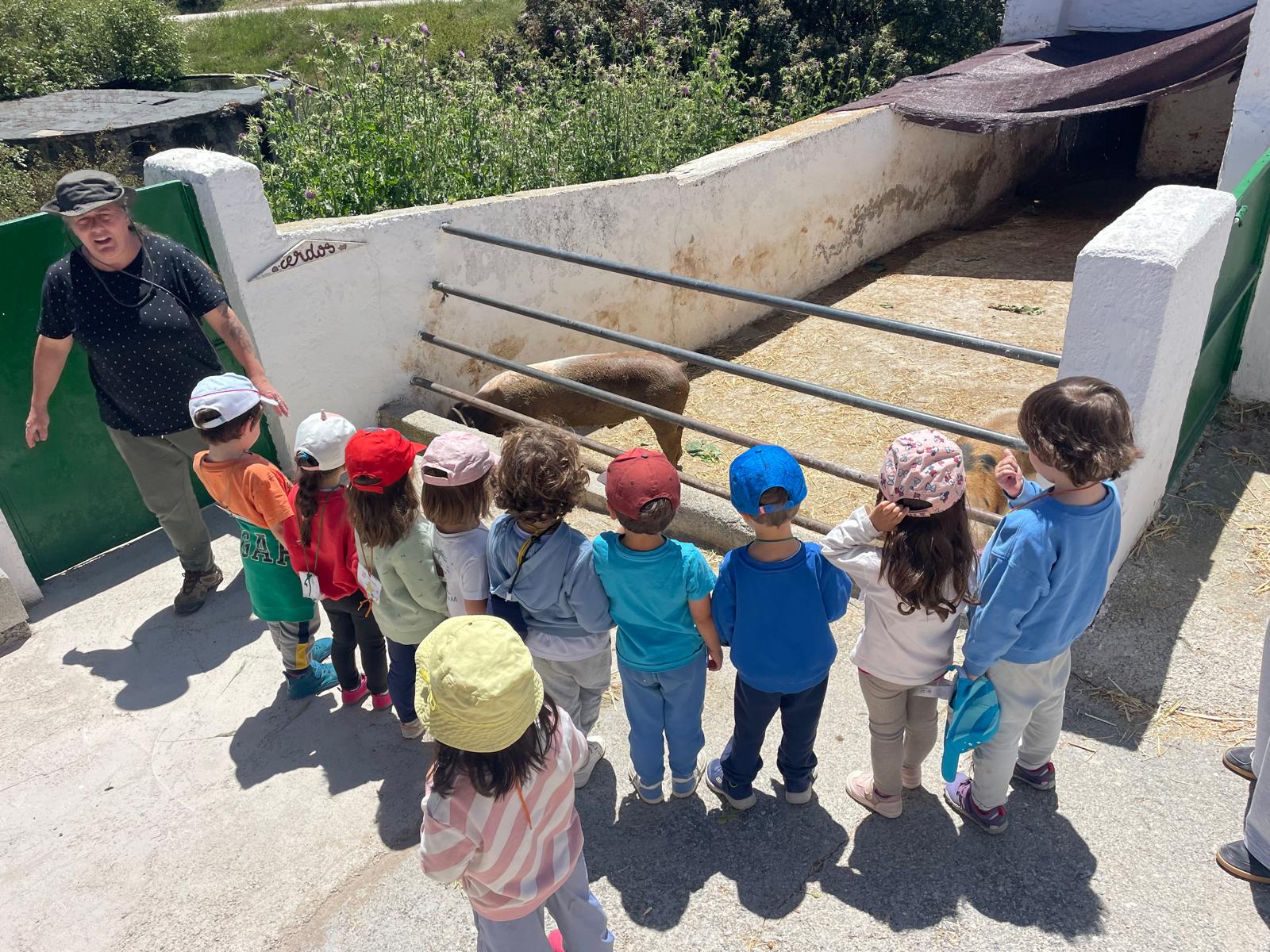 PHOTO-2025-05-21-19-23-39 14