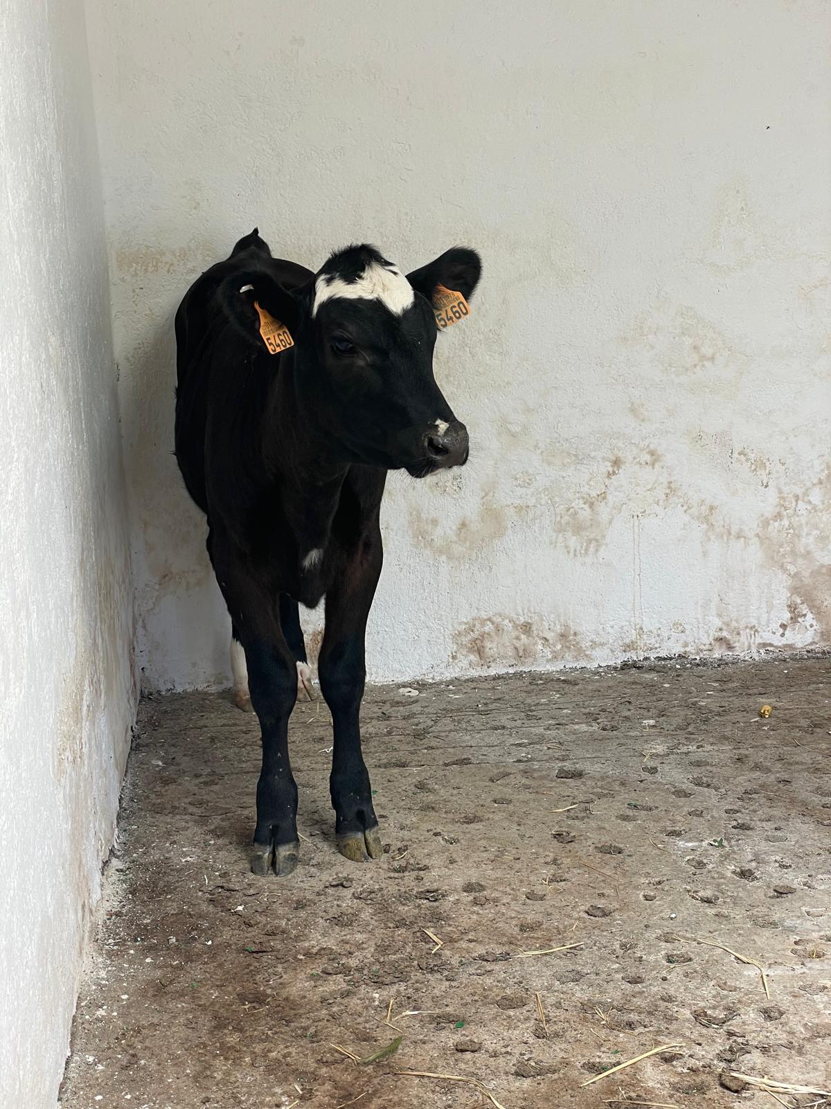 PHOTO-2025-05-21-19-23-39 17