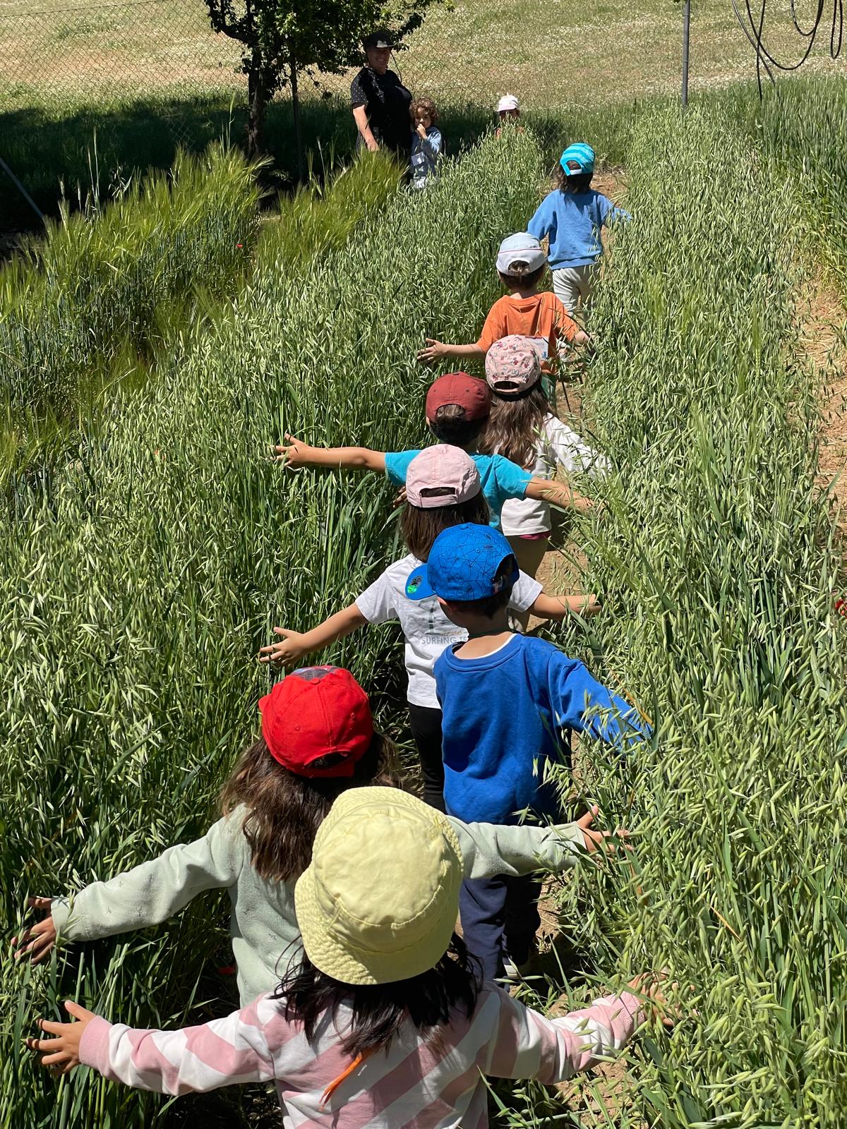 PHOTO-2025-05-21-19-33-17 8