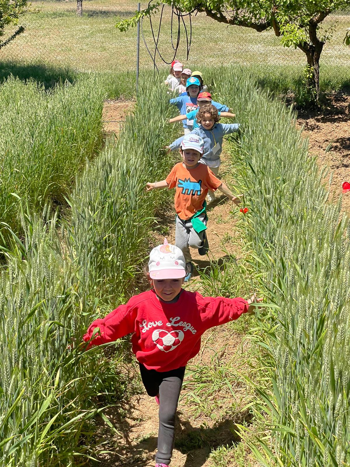 PHOTO-2025-05-21-19-33-17 9