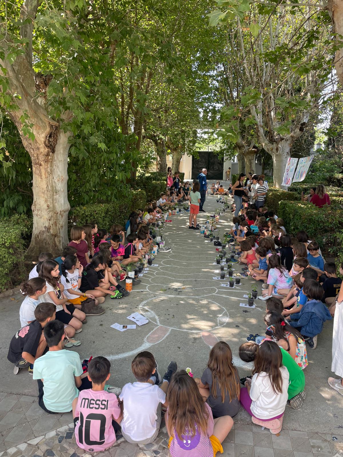 PHOTO-2025-06-05-22-21-48 9