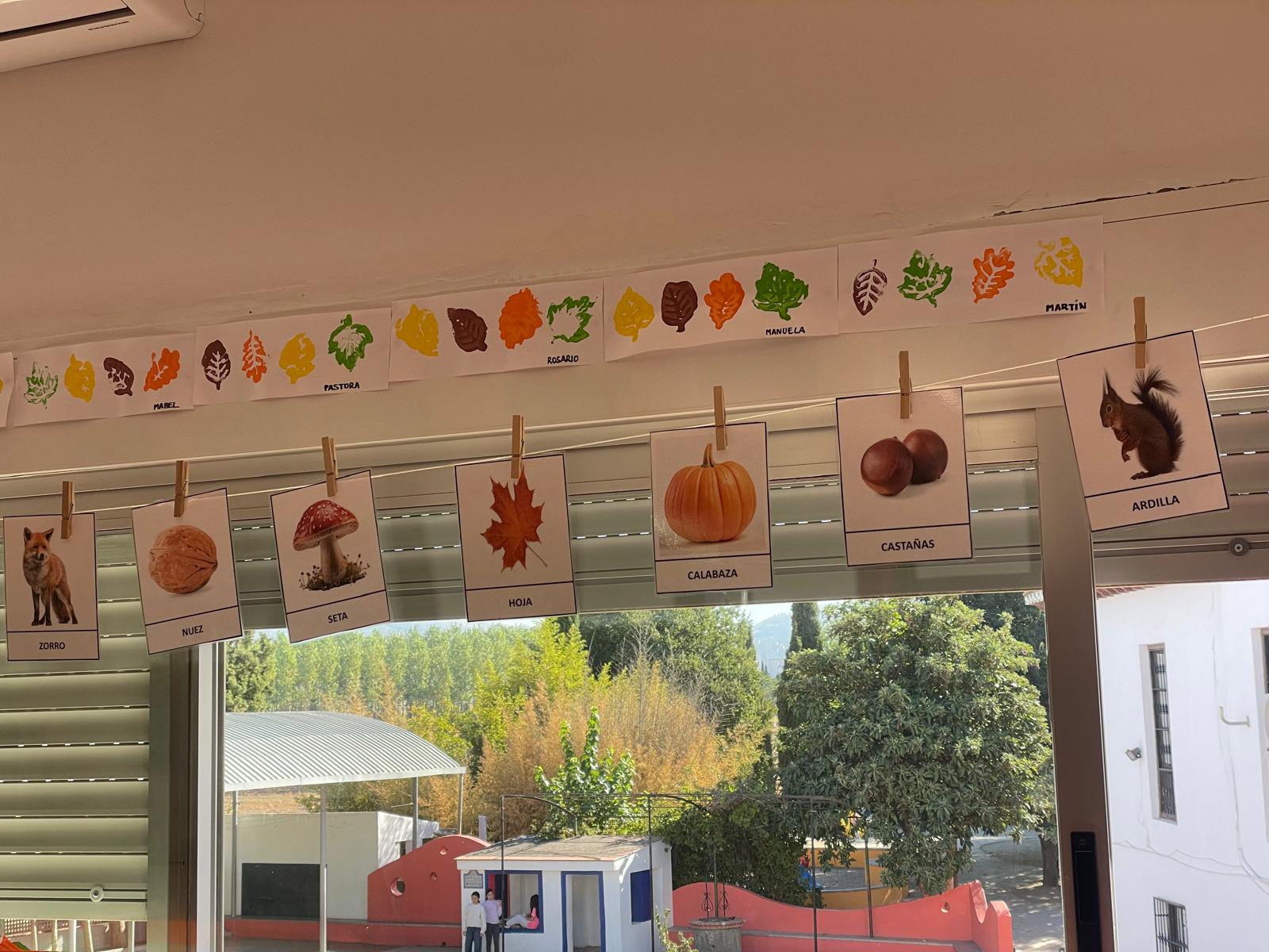 PHOTO-2025-10-06-21-51-20 20