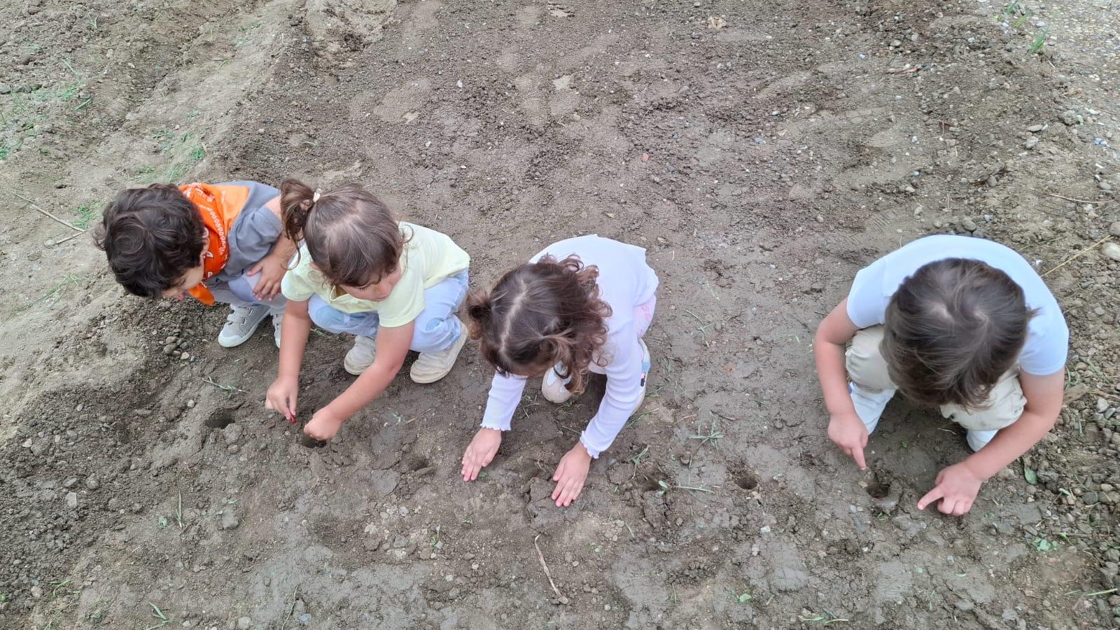 PHOTO-2025-10-22-21-01-25 15