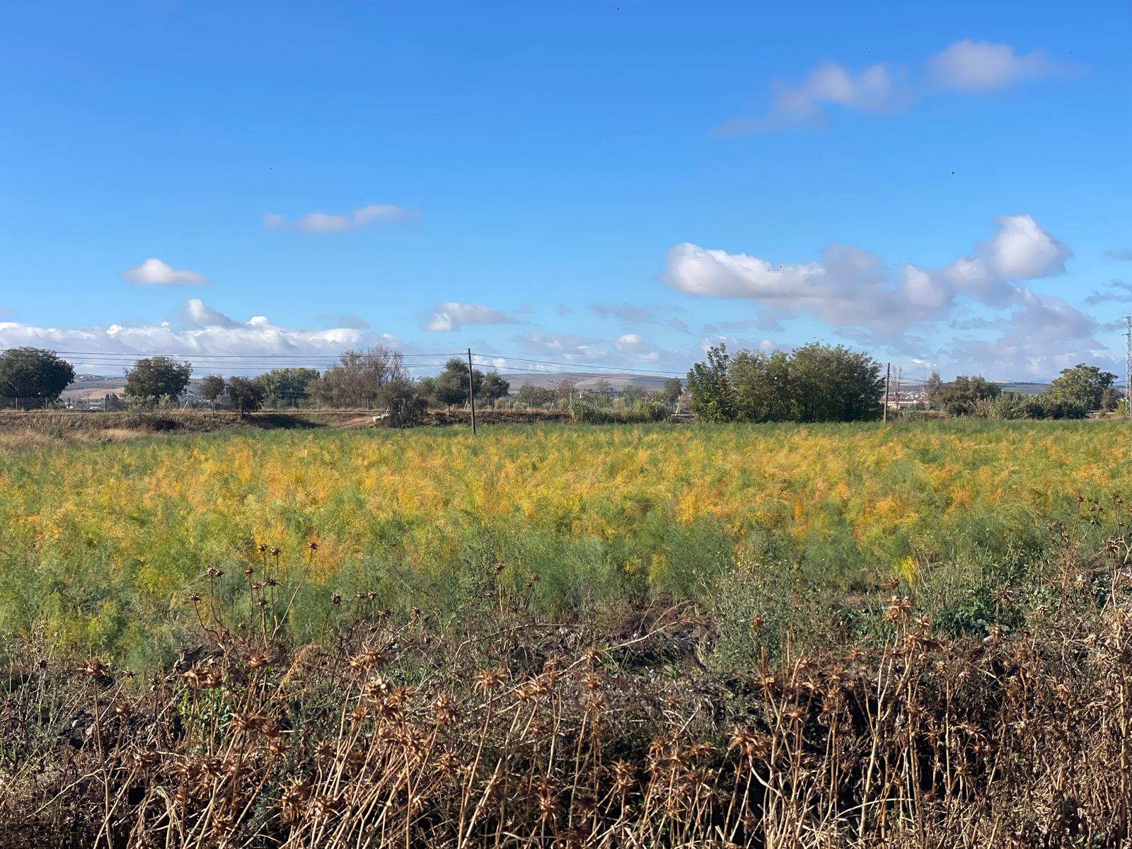 PHOTO-2025-10-30-15-48-13 3