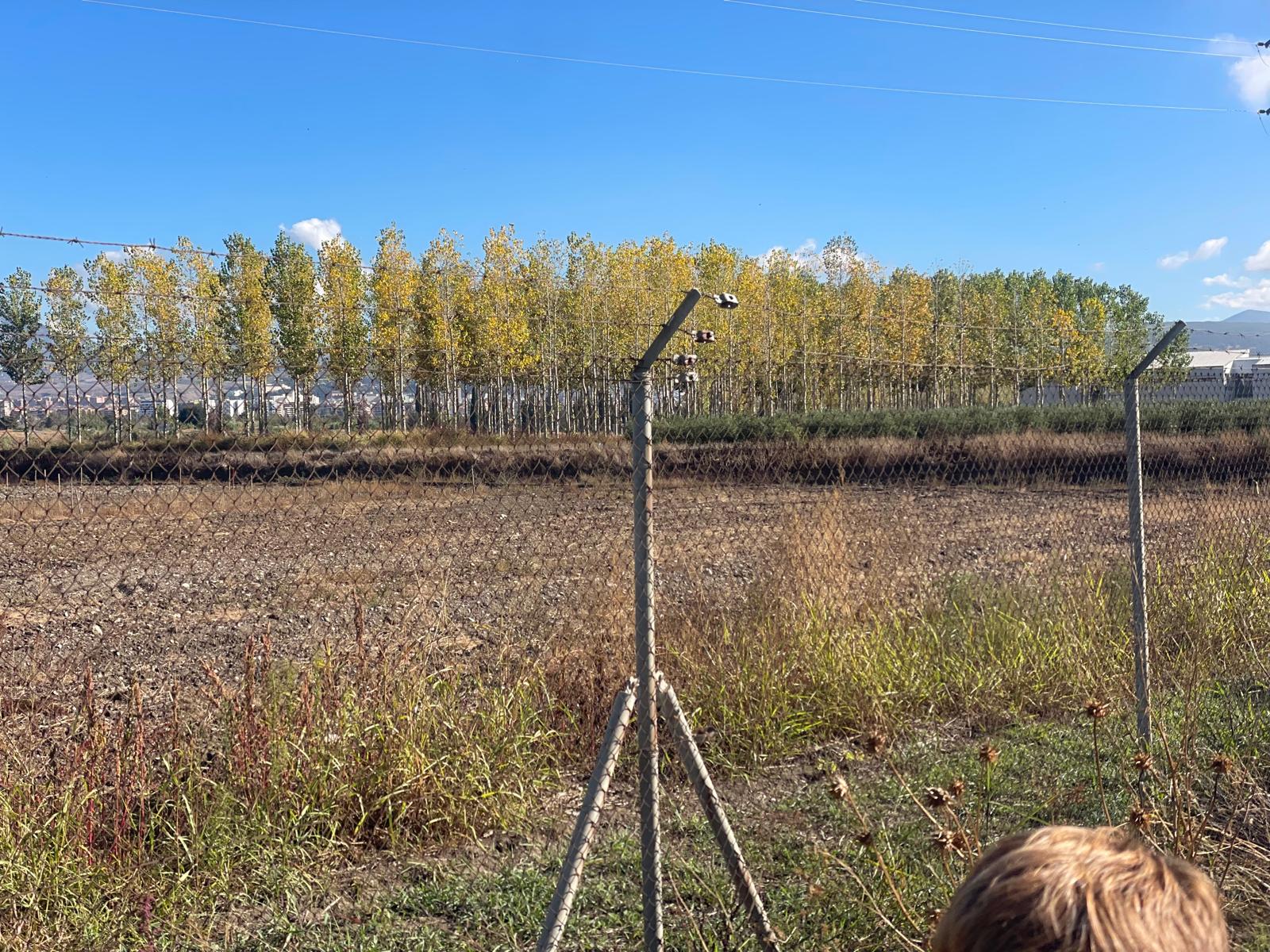 PHOTO-2025-10-30-15-48-13 4 PHOTO-2025-10-30-15-48-13 4