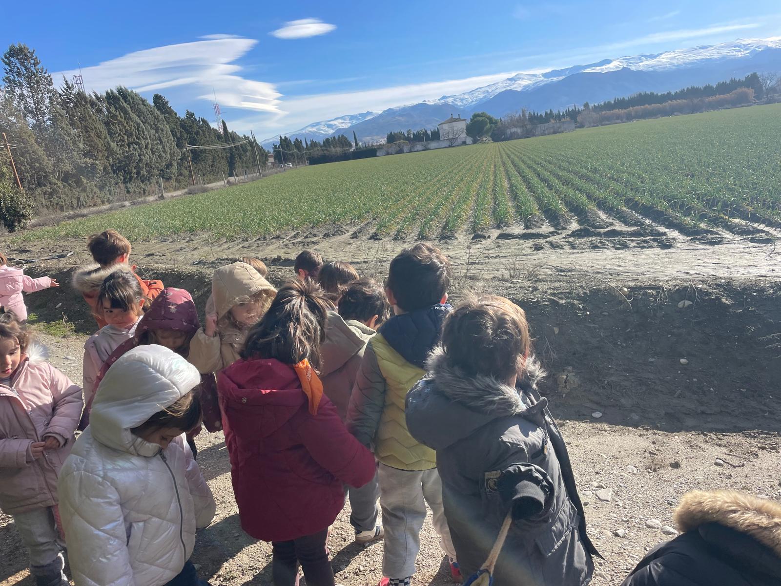 PHOTO-2026-01-14-15-51-51 10