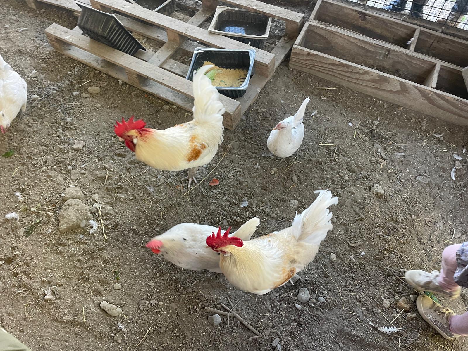 PHOTO-2026-01-14-18-40-32 2