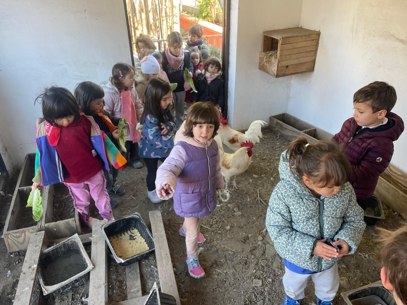 PHOTO-2026-01-14-18-40-32