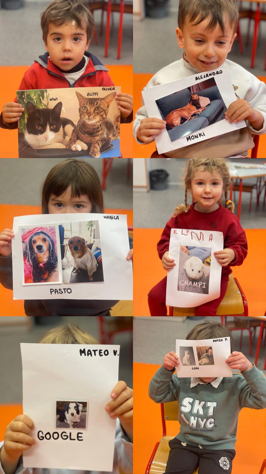 PHOTO-2026-01-20-20-12-03 14