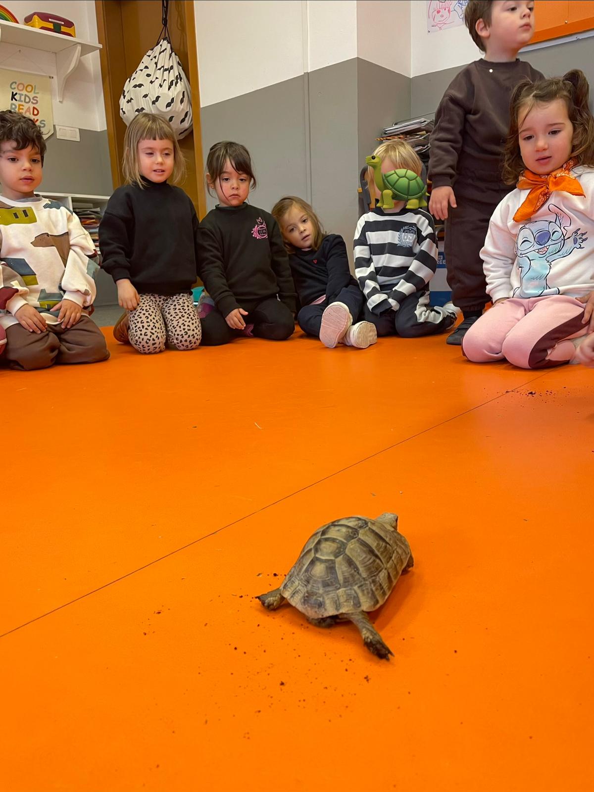 PHOTO-2026-01-28-19-43-19 10