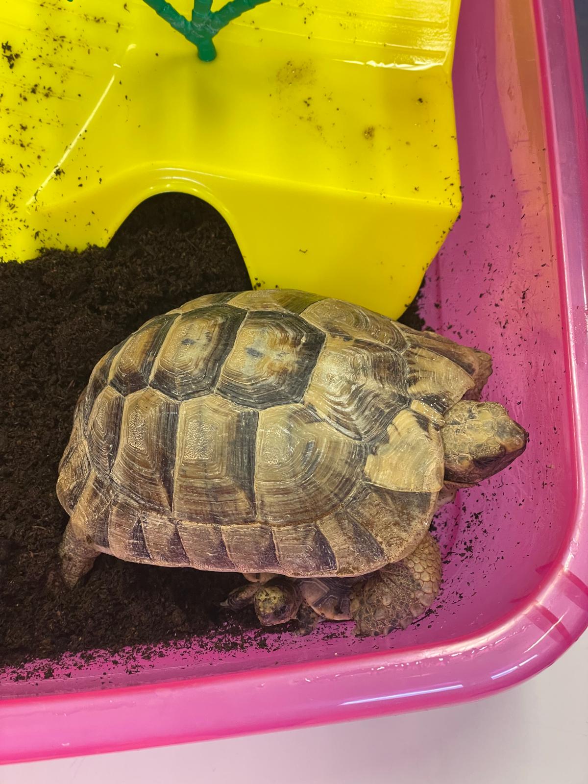 PHOTO-2026-01-28-19-43-19 2