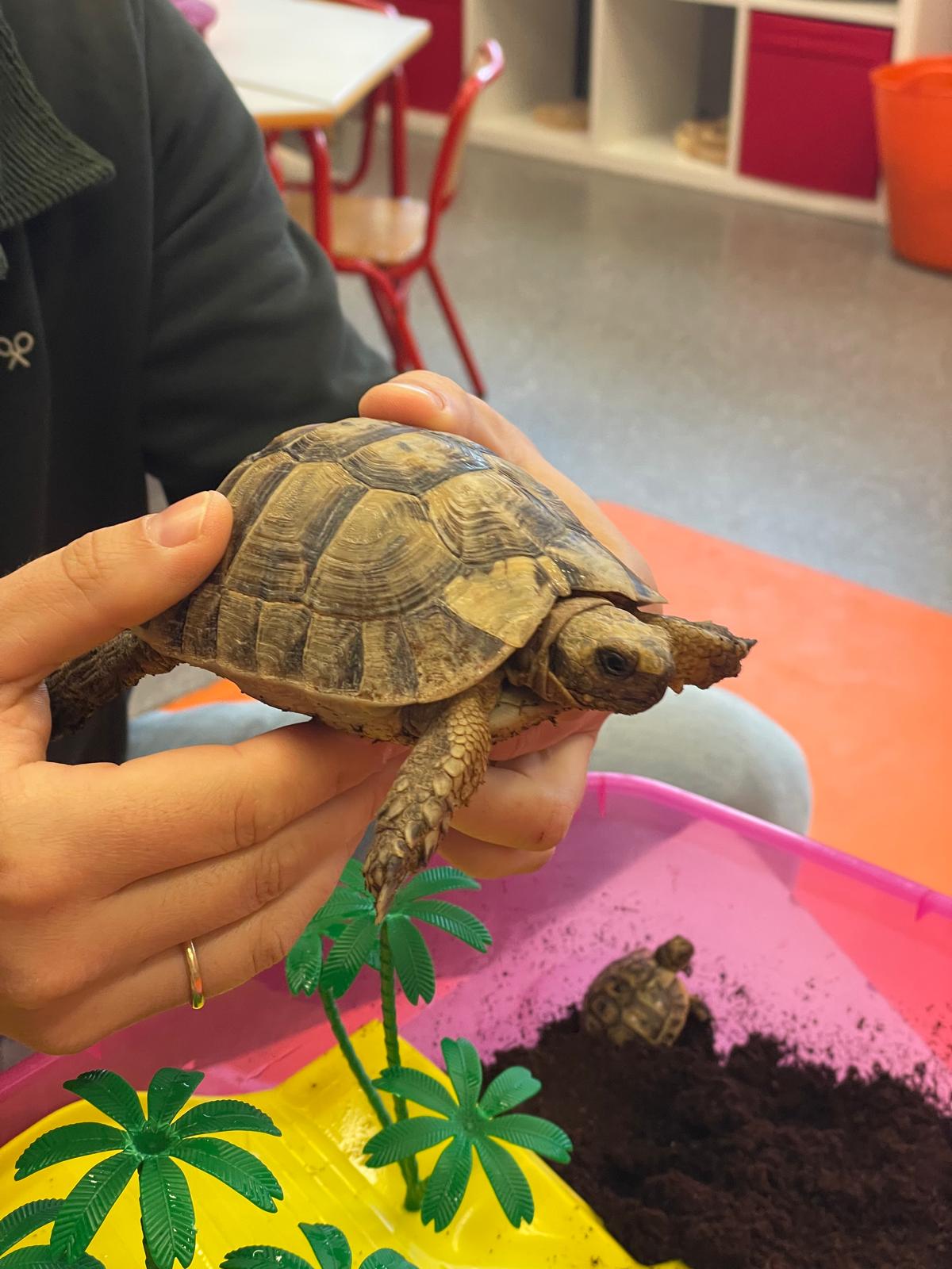 PHOTO-2026-01-28-19-43-19 4